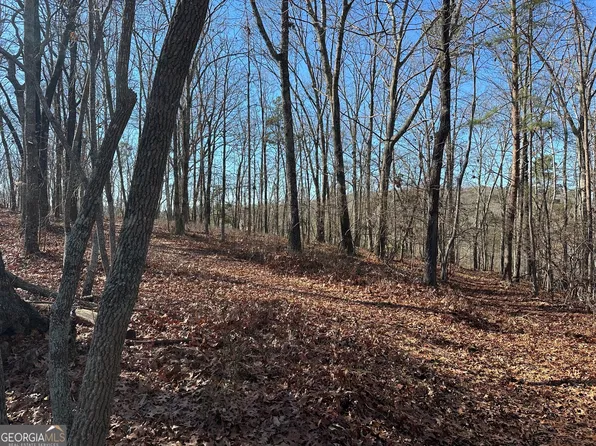 0 Charlie Lemley Rd, Dawsonville, GA 30534