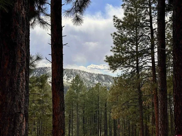 183 Timber Drive, Bayfield, CO 81122