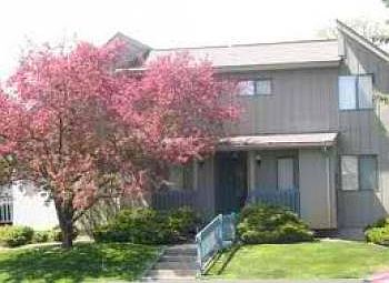 2nd image of 903 Novi Rd