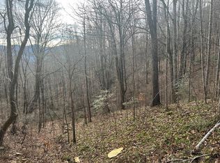 5 Pigeon Creek Rd, Bryson City, NC 28713