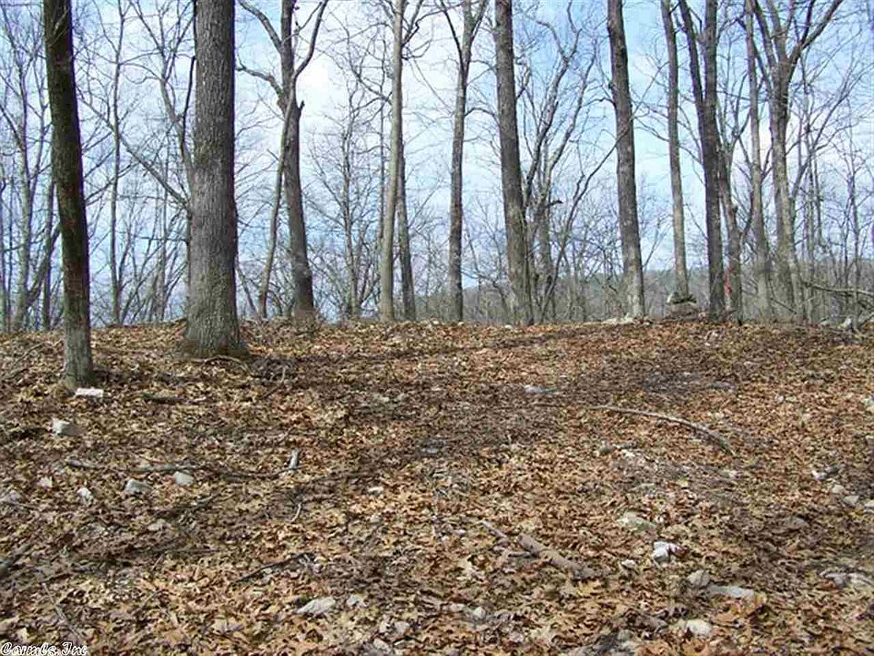 1st image of Tract 4 Polk #119