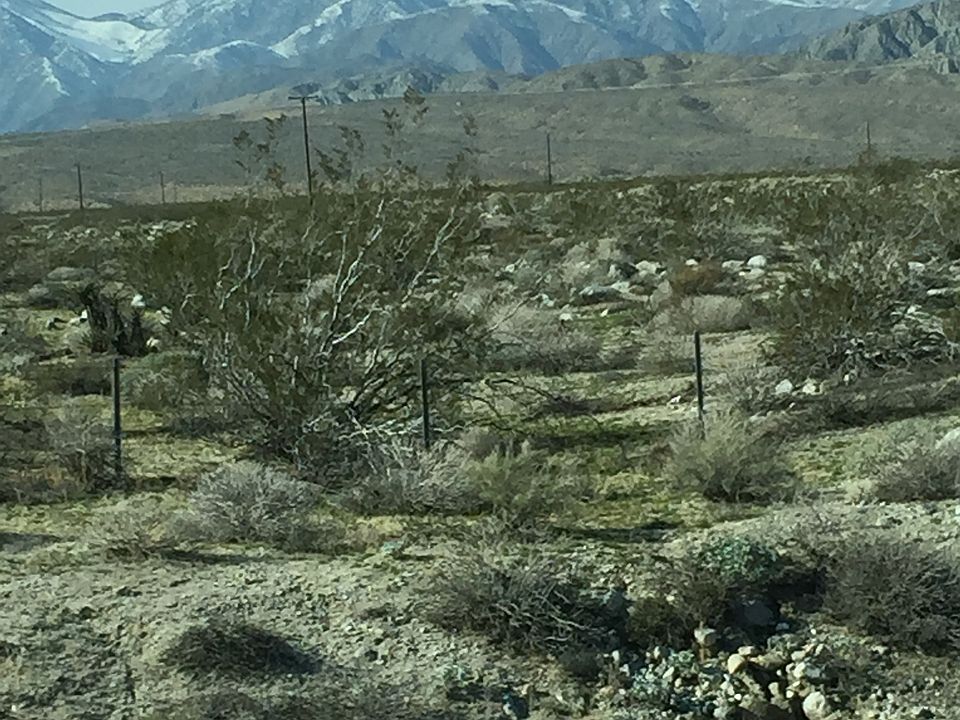 2nd image of 49217 Palo Verde Rd