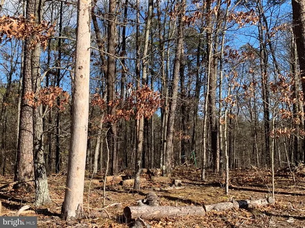 Trillium Lane Lot 8, Cross Junction, VA 22625