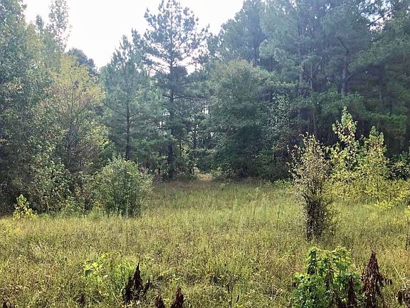 4th image of 2083 County Road 4244