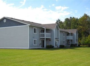 310 Macomber St APT 1, Lakeview, MI 48850