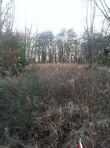 1st image of 308 Country Meadows Ln