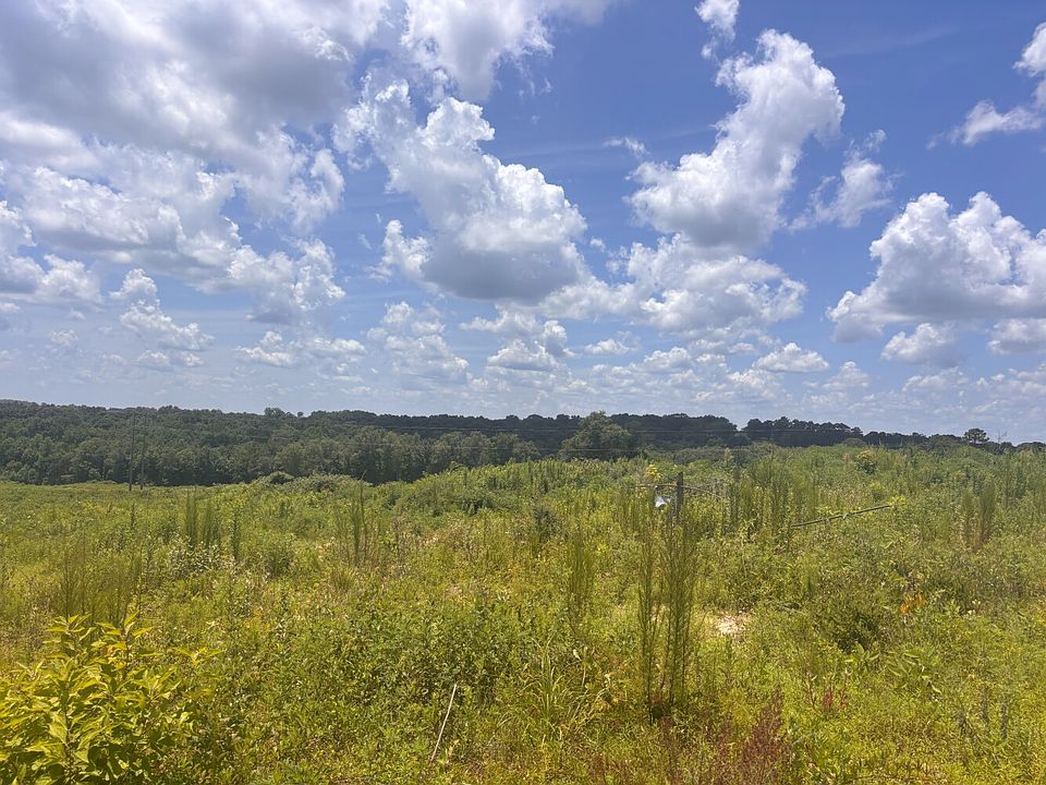 View from south side of CR-215 looking west