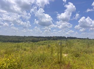 0 County Road 215, Ariton, AL 36311