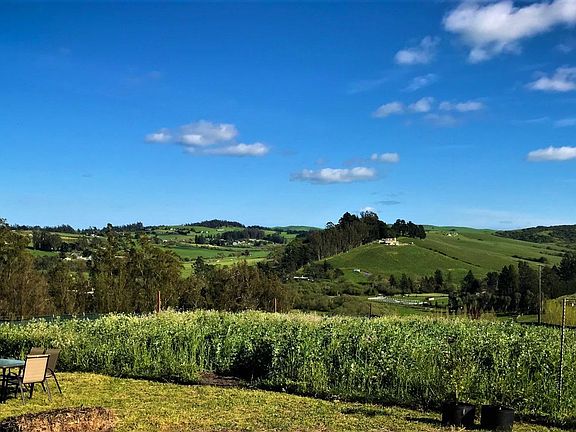 2nd image of 2633 Blucher Valley Road