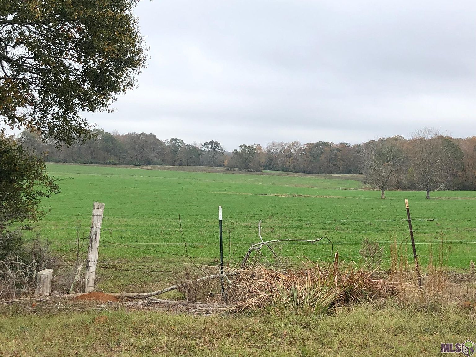 13610 State Highway 967 LOT D, Saint Francisville, LA 70775 MLS