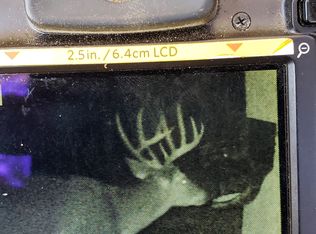 575 Old Wilson Warehouse Rd, Princeton, KY 42445