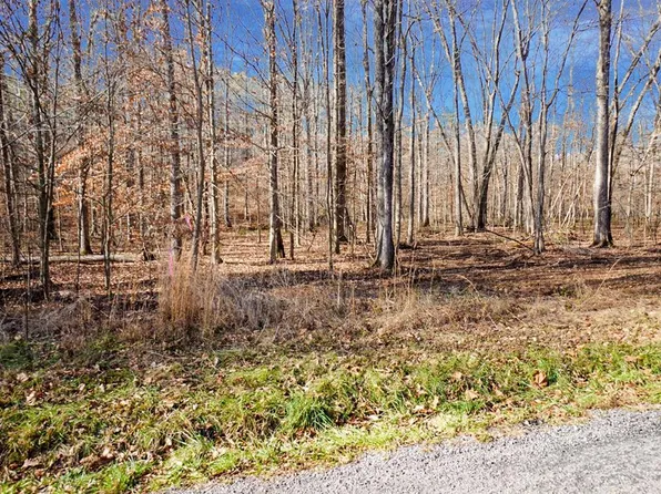 11 Ribbon Branch Rd, Dover, TN 37058