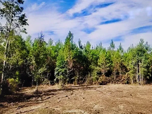 1837 Glacier Dr, Milton, FL 32571