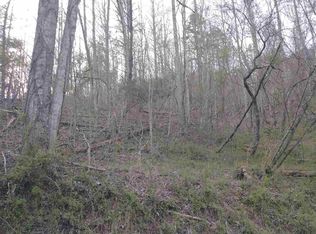 2632 Sherm Mountain Rd, Sneedville, TN 37869