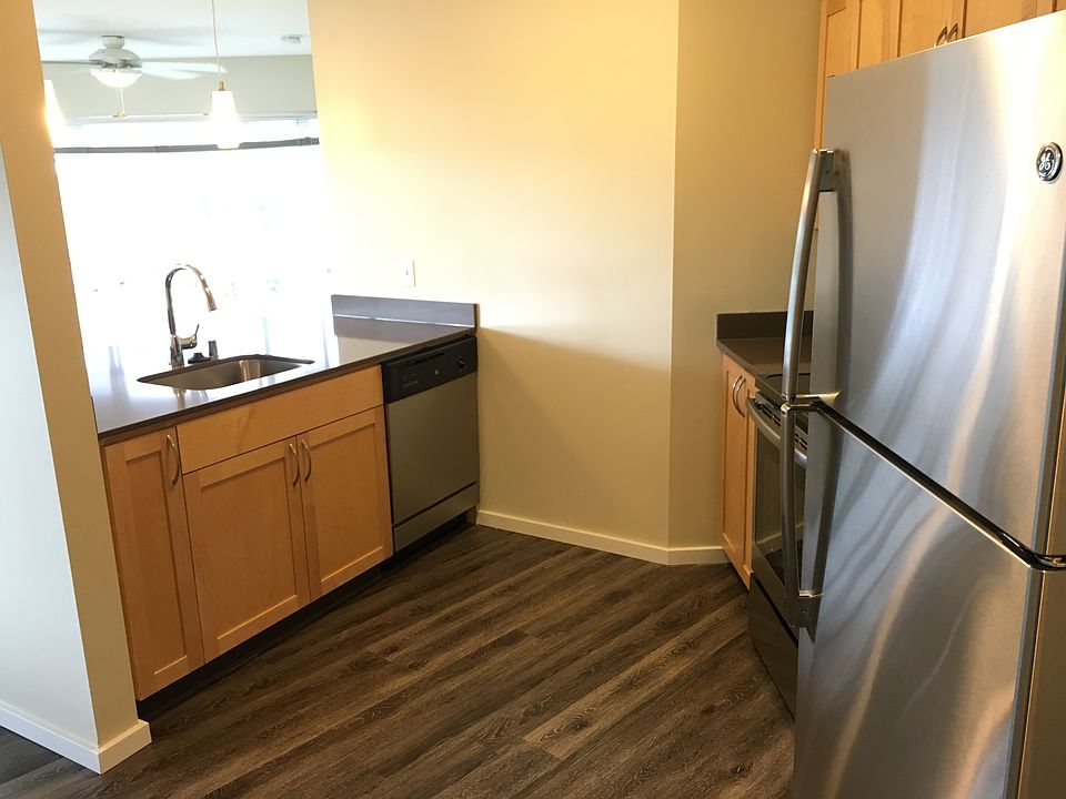 Modern, Updated Kitchen