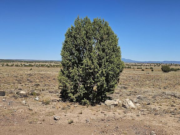 3rd image of 0 Lowe Ranch Rd