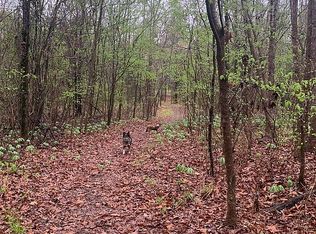 7250 Fm 161 S, Avinger, TX 75630