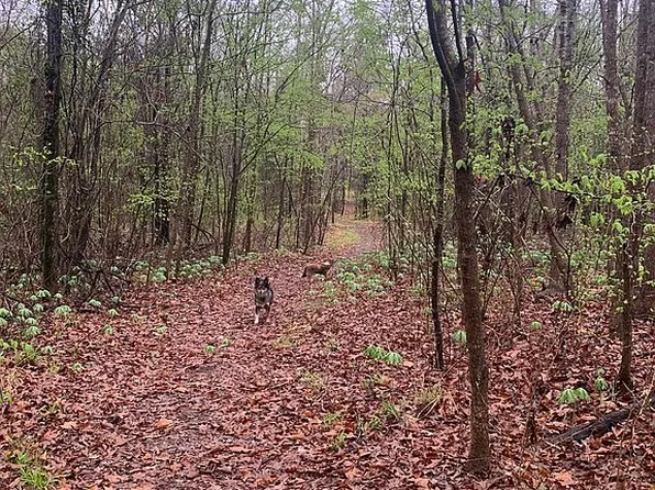 7250 Fm 161 S, Avinger, TX 75630