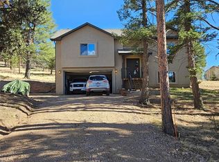 24 Big Horn Cir, Florissant, CO 80816