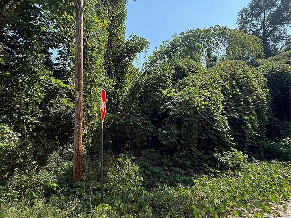 5th image of 0 Lotus Ave NW #10-585