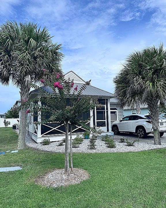 Palm trees and azaleas