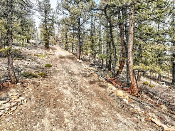 3486 Middle Fork Vis, Fairplay, CO 80440