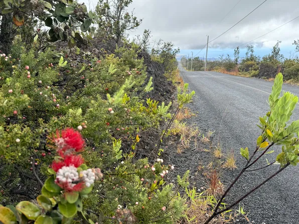 Koa Ln Lot 15, Captain Cook, HI 96704