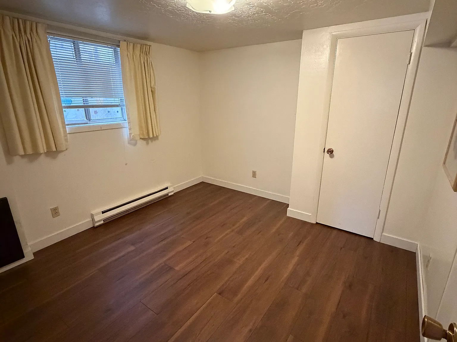 Lava Fife Triplex — Photo 2