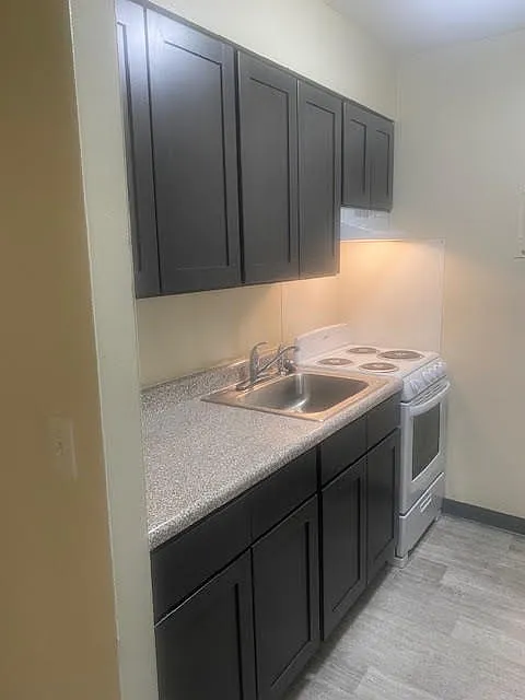 Chadwick Gardens Assc. LLC — Photo 4