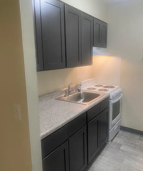 Chadwick Gardens Assc. LLC — Photo 4