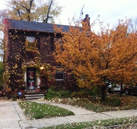 2nd image of 18467 Wisconsin St