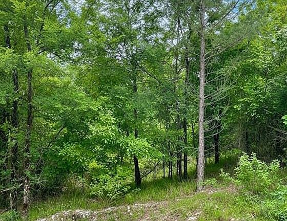 3rd image of 662 Timber Creek Trl