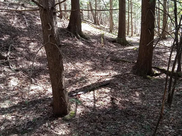 36431 Daniels Rd, Ontonagon Township, MI 49953