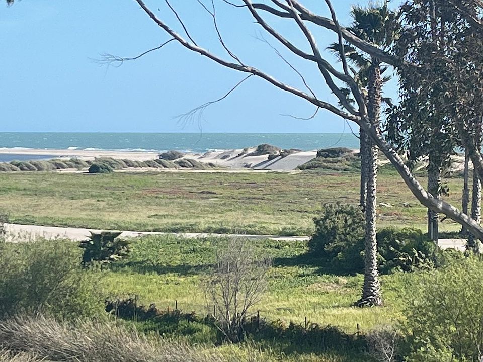 View from Patio