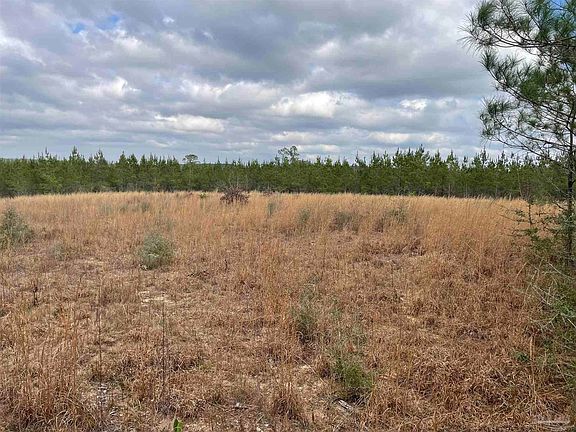 3rd image of 8314 Teton Crest Dr