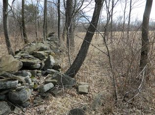 521 Hoag Childes Rd, Norwich, NY 13815