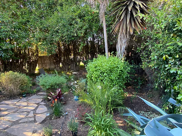 Rear garden