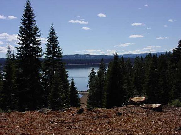 4th image of 1213 Lassen View Dr