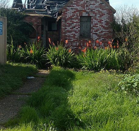 4th image of 10620 Seymour St