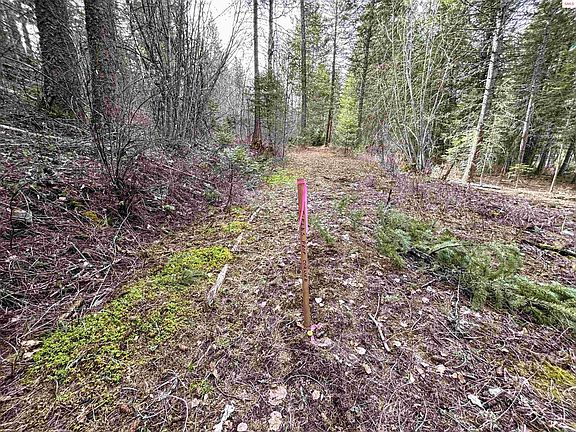 5th image of Nna No End Rd