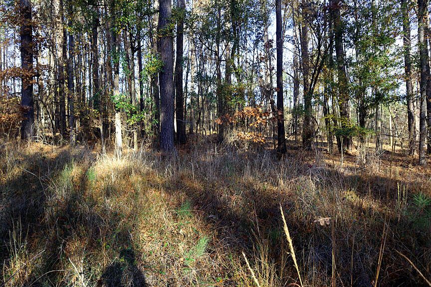 2nd image of Lt7 Lake Sinclair Dr