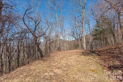 5th image of 96 Castanea Mountain Dr