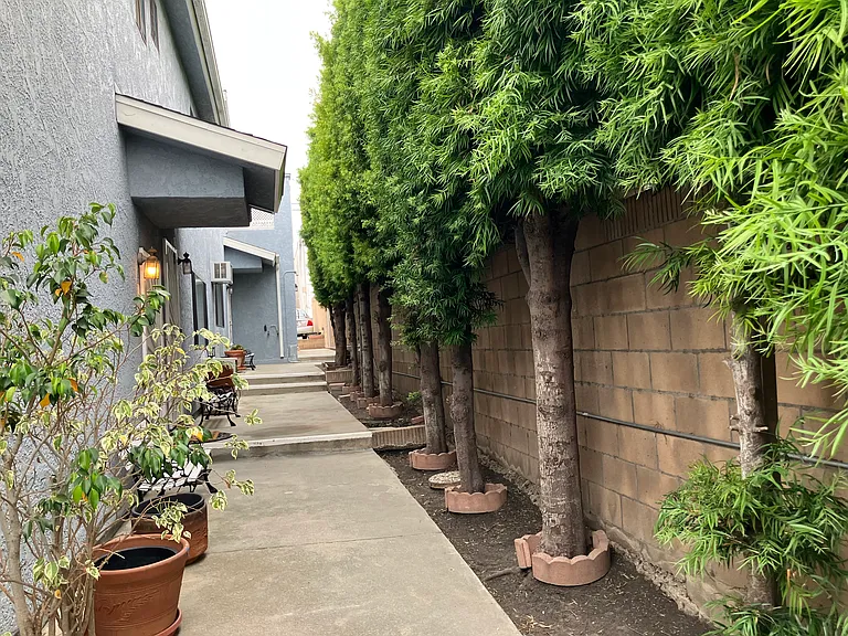 Walkway from street to unit #3.