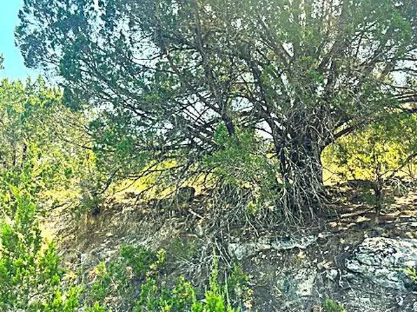 20001 Calhoun Ave, Leander, TX 78645