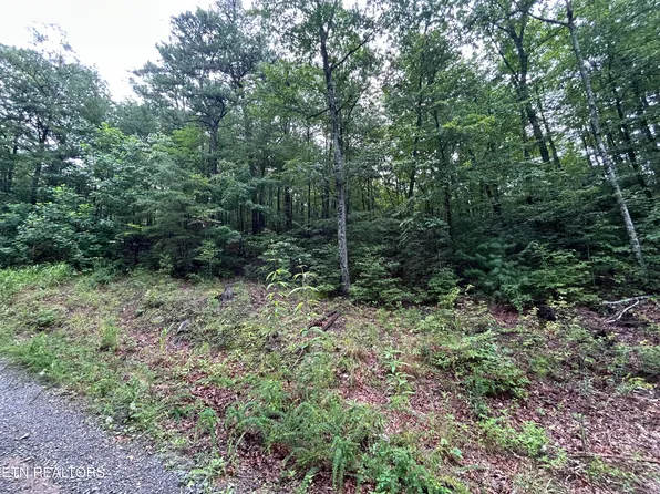 Black Oak Dr, Sevierville, TN 37876