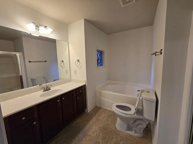 Master Bathroom Bath