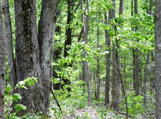 5016 E Beaton Rd, Harrisville, MI 48740