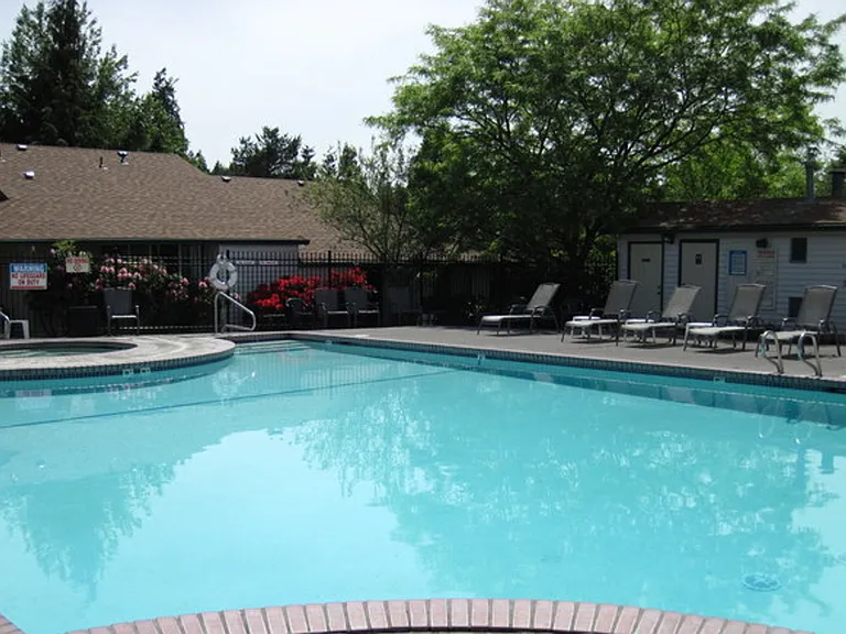 Forest Ridge Apartments — Photo 25