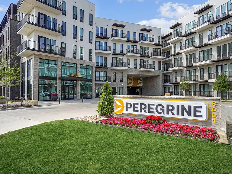 Peregrine — Photo 33