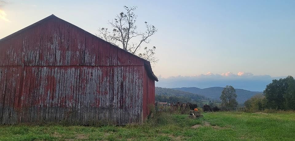 1st image of 1768 Wilder Hwy